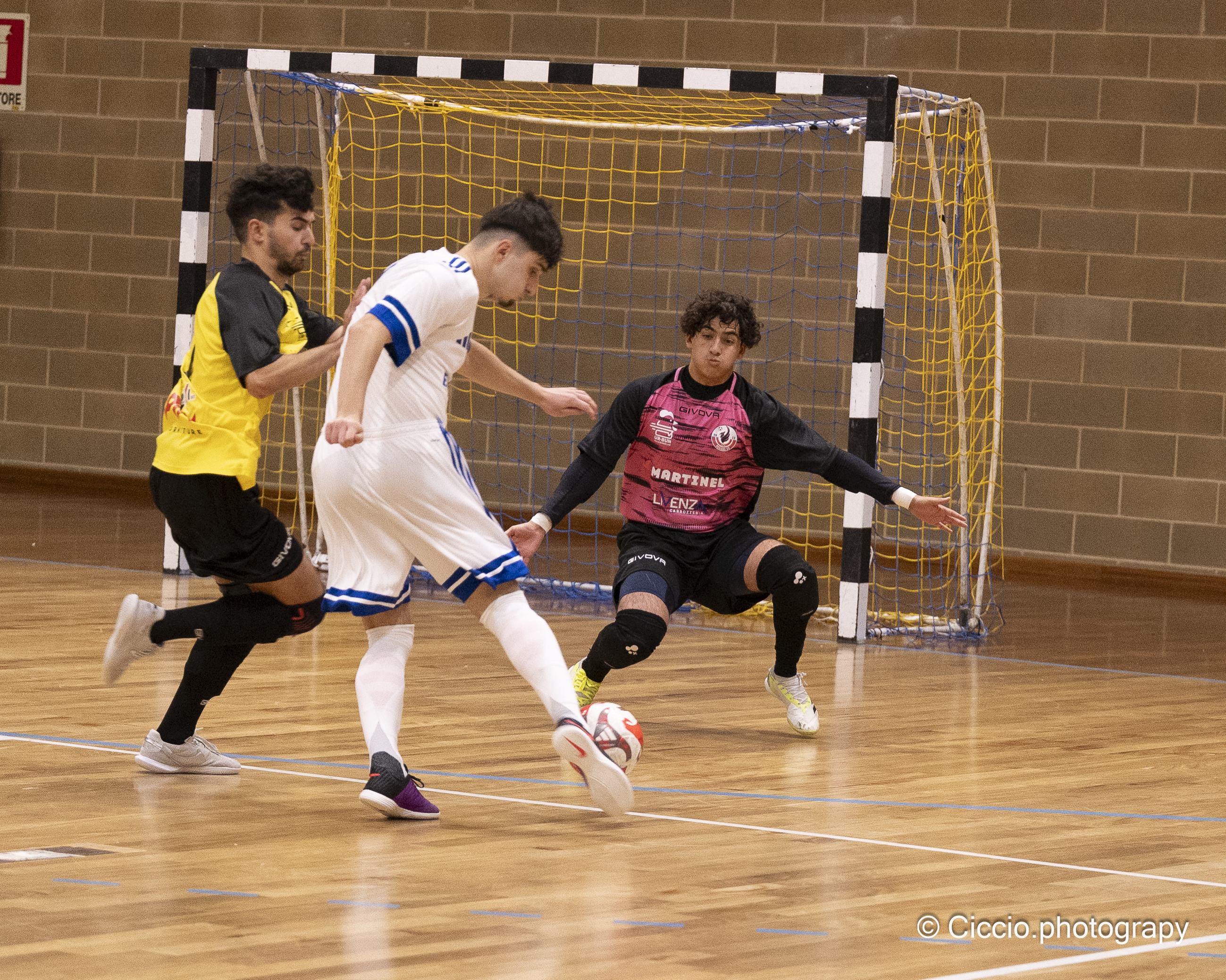 DSC 0106 2025 11 02T14 17 07 070