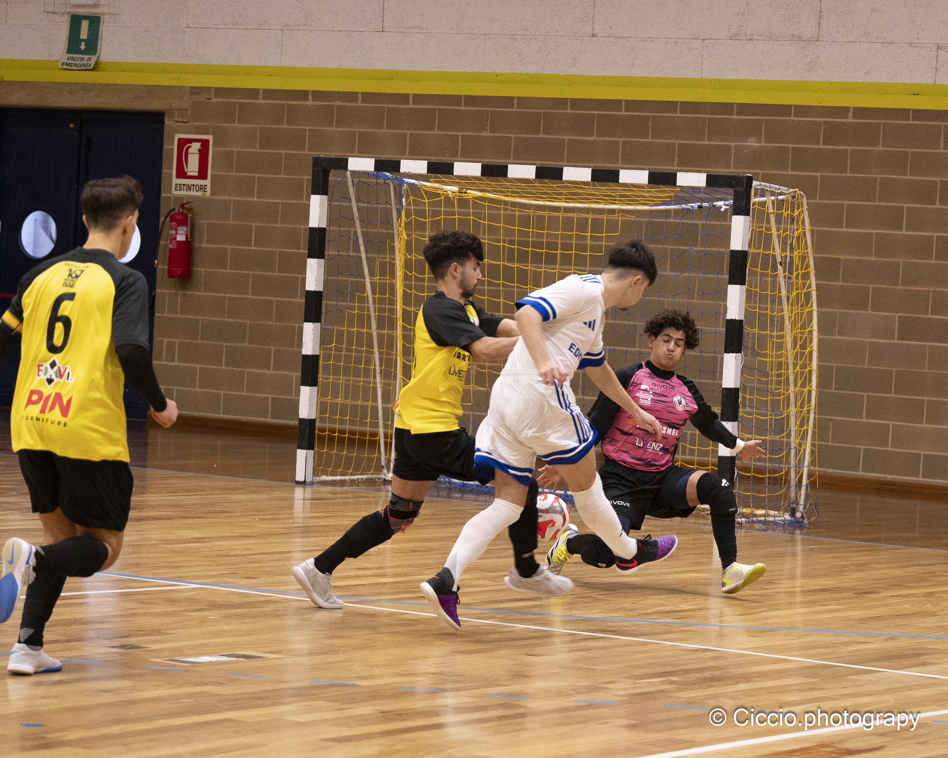 DSC 0107 2025 11 02T14 17 11 300