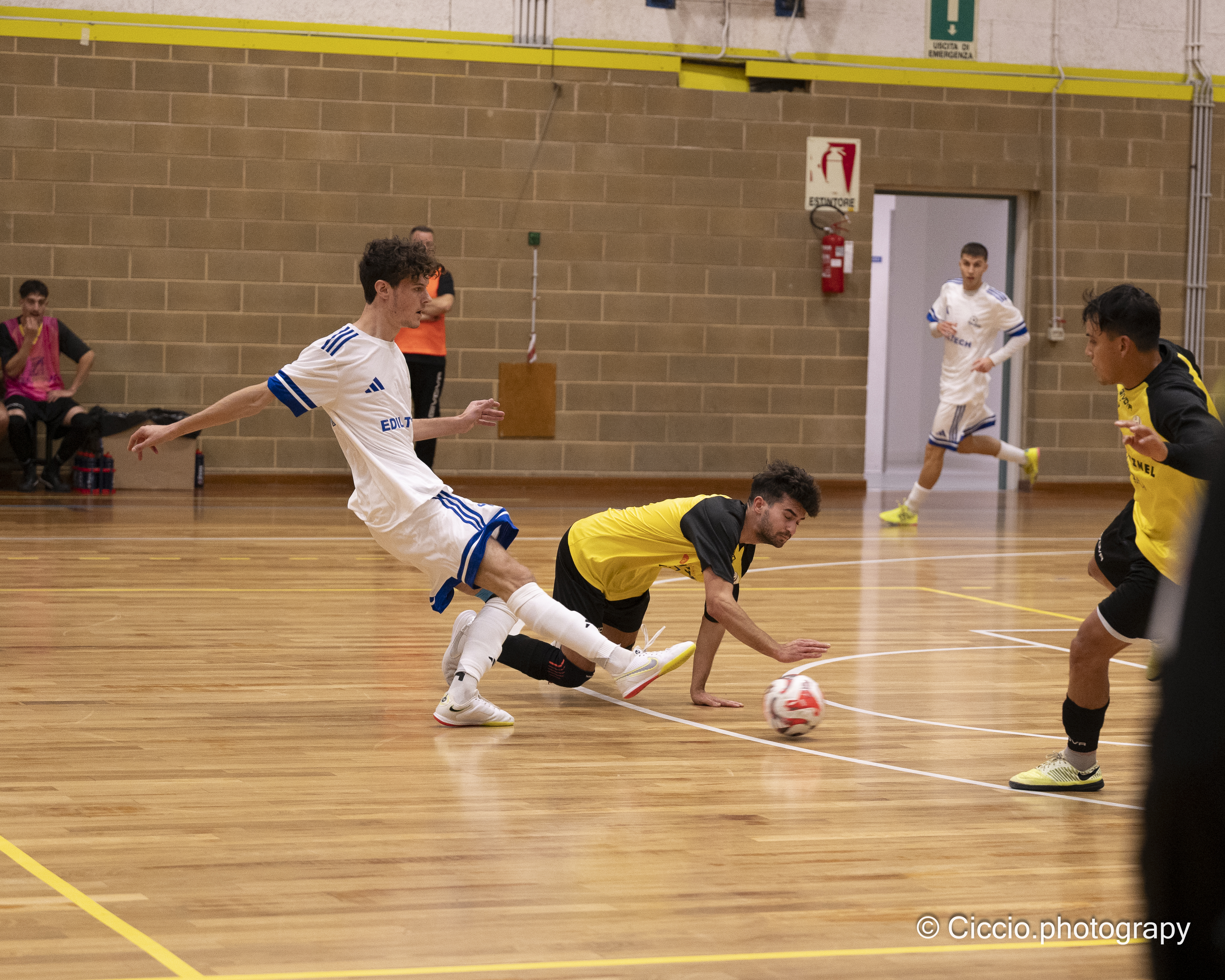 DSC 0135 2025 11 02T14 18 38 347