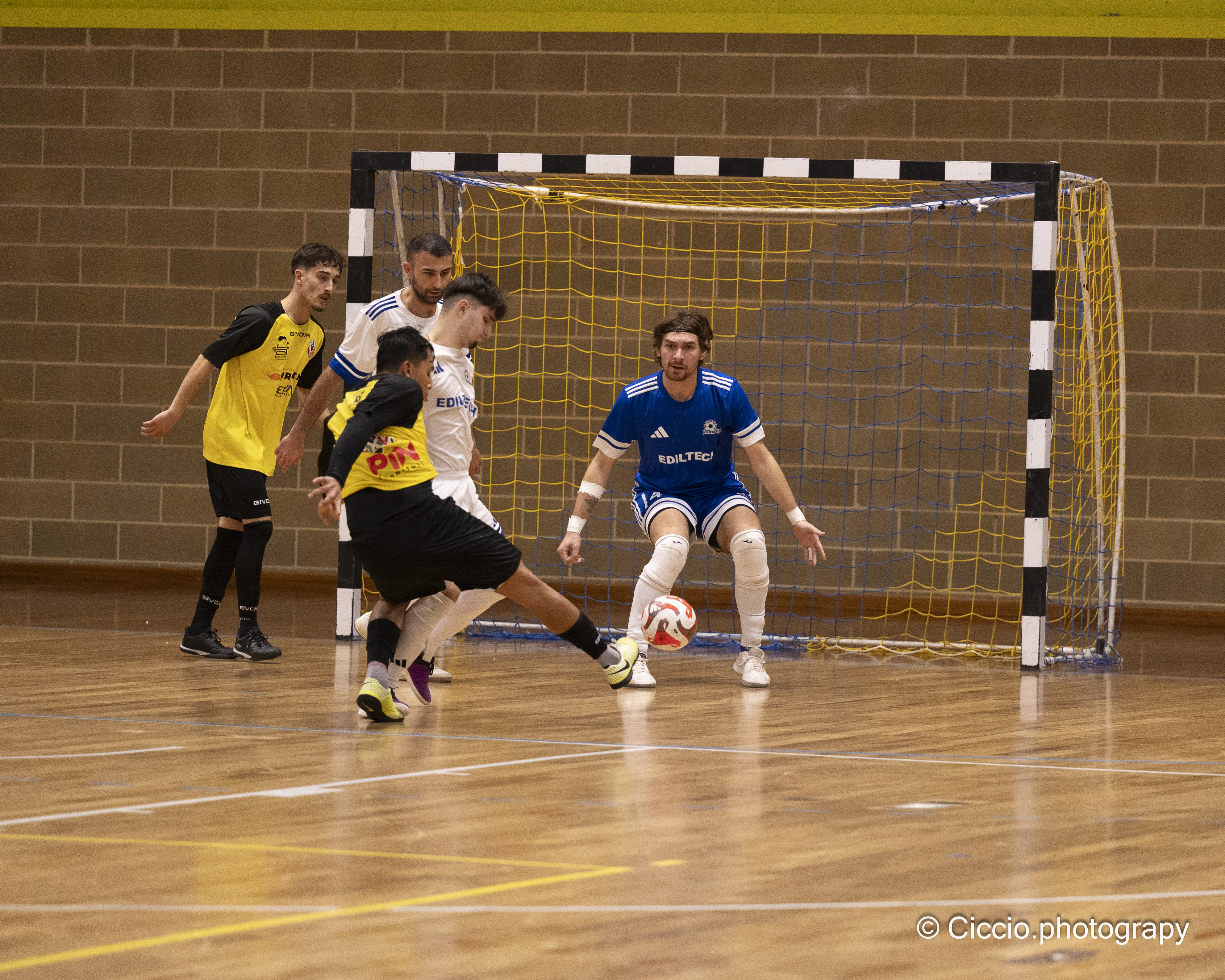 DSC 0410 2025 11 02T14 15 27 424